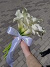 זר כלות יוקרתי מפרחי קאלה לבנים – מושלם לחתונה ולצילומים!  בתמונה נראה זר פרחי קאלה לבנים, בעלי מראה אלגנטי ונקי, קשור בסרט סאטן לבן יוקרתי. זר קלאסי ומרשים, אידיאלי לכלות, צילומי חתונה ואירועים יוקרתיים. ✔ פרחים טריים ואיכותיים ✔ משלוחים מהירים לכל הארץ ✔ אפשרות לעיצוב אישי בהתאמה אישית להזמנה – התקשרי עוד היום והבטיחי לעצמך זר מושלם ליום המיוחד שלך!יש לבדוק זמינות מלאי לפני