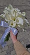 זר כלות יוקרתי מפרחי קאלה לבנים – מושלם לחתונה ולצילומים!  בתמונה נראה זר פרחי קאלה לבנים, בעלי מראה אלגנטי ונקי, קשור בסרט סאטן לבן יוקרתי. זר קלאסי ומרשים, אידיאלי לכלות, צילומי חתונה ואירועים יוקרתיים. ✔ פרחים טריים ואיכותיים ✔ משלוחים מהירים לכל הארץ ✔ אפשרות לעיצוב אישי בהתאמה אישית להזמנה – התקשרי עוד היום והבטיחי לעצמך זר מושלם ליום המיוחד שלך!יש לבדוק זמינות מלאי לפני