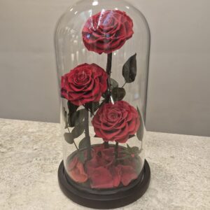 ורדים משומרים (Preserved Roses) הם ורדים טבעיים 100% אמיתיים, שעברו תהליך שימור מיוחד כדי לשמור על המראה, הצבע, והמרקם שלהם לאורך זמן – לפעמים אפילו שנים שלמות – בלי מים, בלי אור שמש ובלי צורך בתחזוקה.