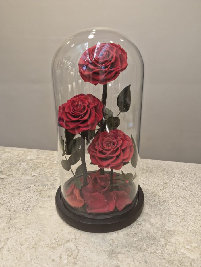 ורדים משומרים (Preserved Roses) הם ורדים טבעיים 100% אמיתיים, שעברו תהליך שימור מיוחד כדי לשמור על המראה, הצבע, והמרקם שלהם לאורך זמן – לפעמים אפילו שנים שלמות – בלי מים, בלי אור שמש ובלי צורך בתחזוקה.