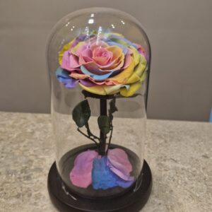 ורד משומר ורוד בהיר בכיפת זכוכית – נגיעה רכה של נצחיות ורד אמיתי בצבע ורוד בהיר, שנקטף בשיא פריחתו ועבר תהליך שימור טבעי, נשמר בכיפת זכוכית שקופה עם בסיס שחור מהודר. פרח על-זמני שלא דורש מים או תחזוקה – רק אהבה. 🎁 מתנה מושלמת ליום הולדת, יום אהבה, או מחווה מרגשת 🌸 ורד טבעי שנשמר לשנים 💎 עיצוב יוקרתי שמתאים לבית, למשרד או לאירועים